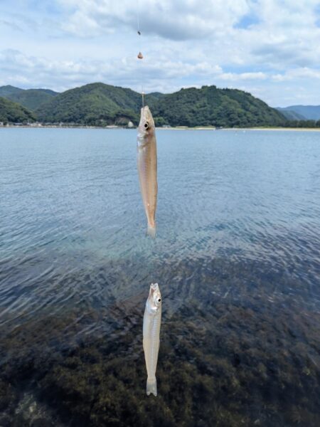 エサは鮮度が命